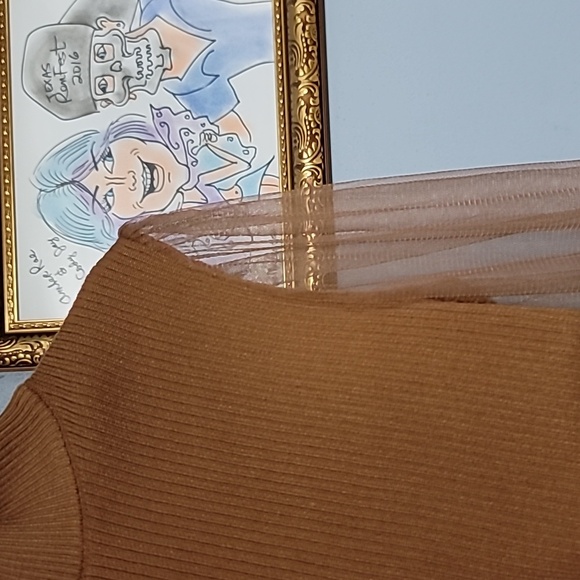 🅴 Love Ever After Ribbed Sweater Dress With Sheer Sleeves Size Small - Picture 6 of 6